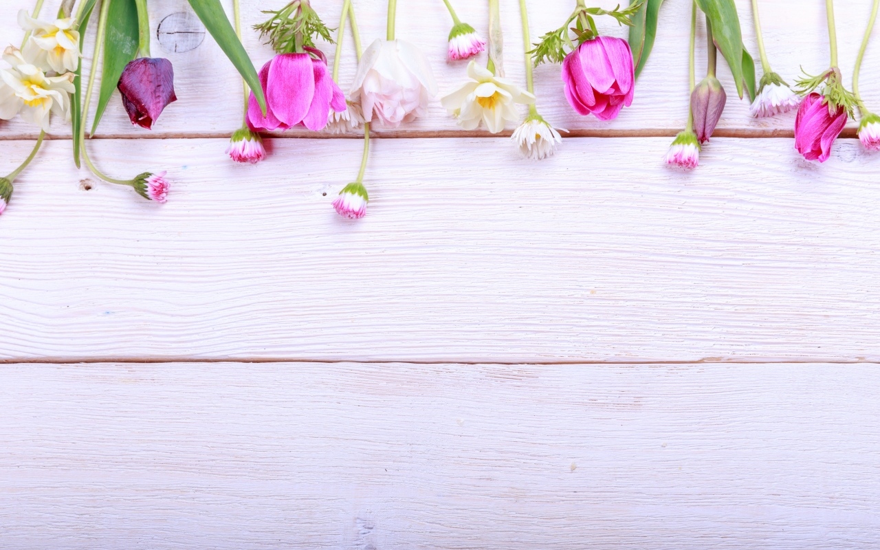 Красивые разноцветные весенние цветы на деревянном фоне