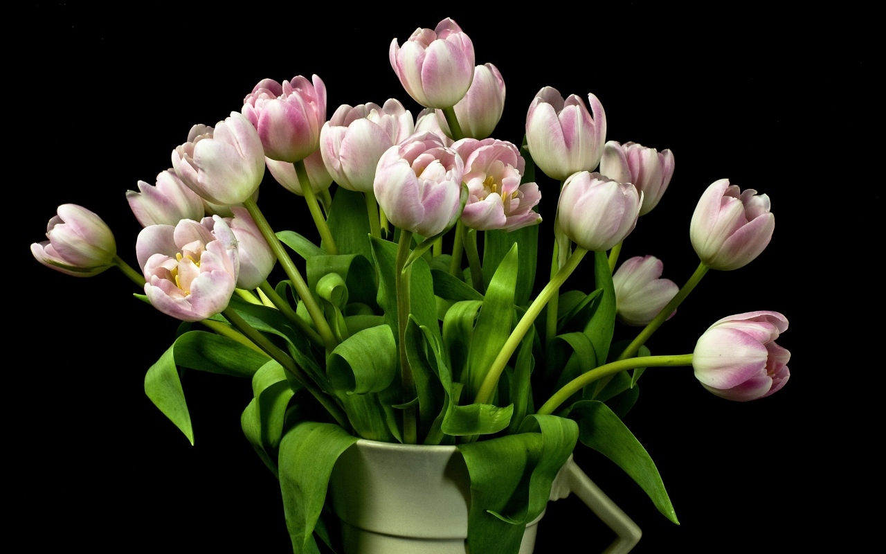 Букет розовых тюльпанов в вазе на черном фоне