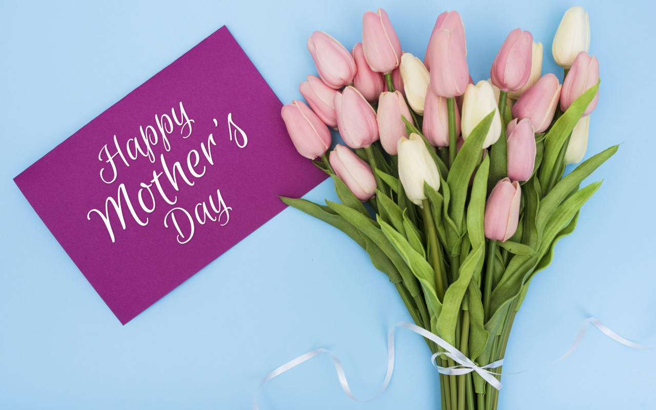Букет розовых тюльпанов на голубом фоне на день матери 