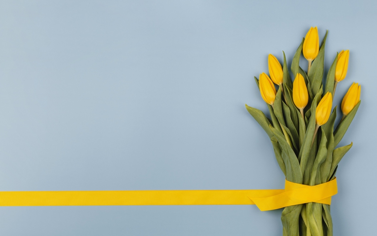 Букет желтых тюльпанов в желтой лентой на голубом фоне