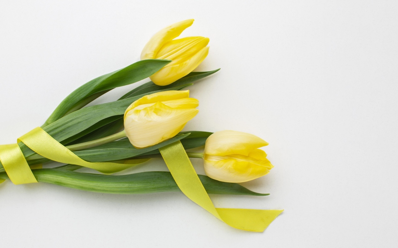 Букет желтых тюльпанов с ленточкой на сером фоне