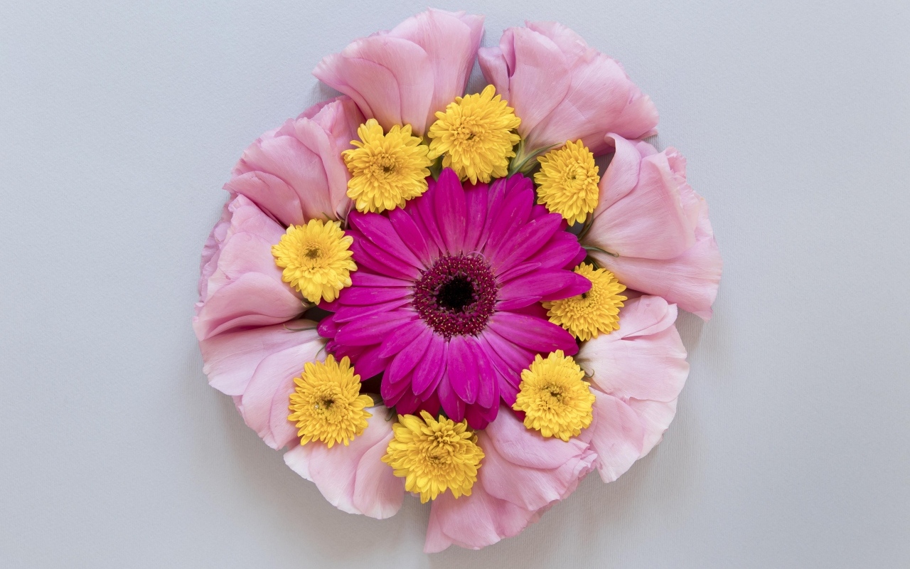 Круг из нежных цветов на сером фоне