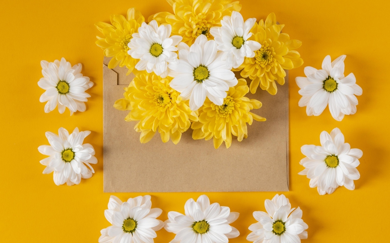 Конверт с желтыми и белыми хризантемами на желтом фоне