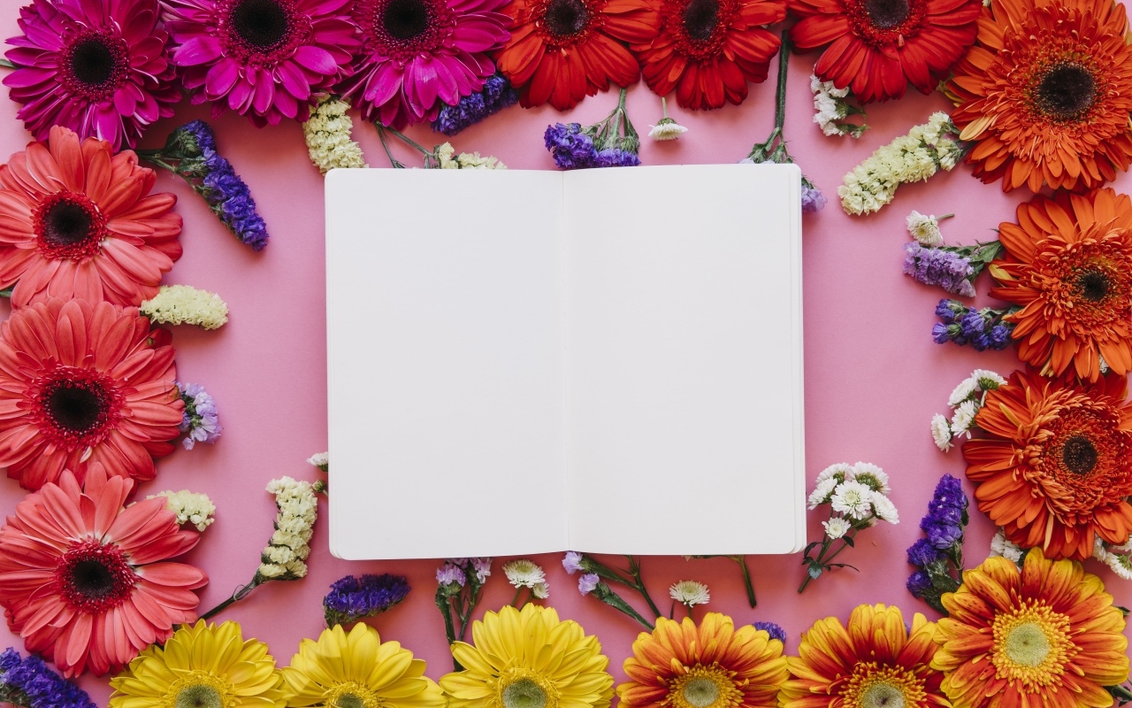 Розовый фон с герберами и белым листом для открытки