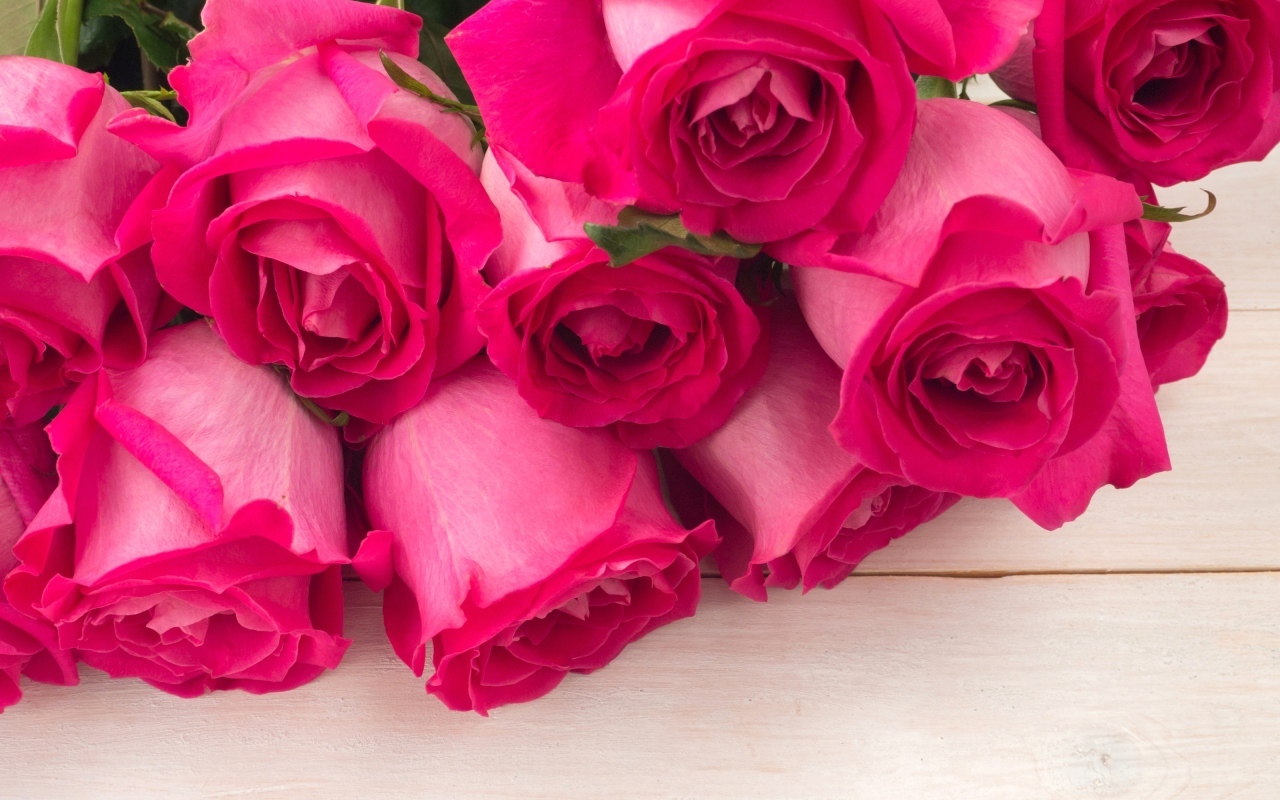 Бутоны розовых роз крупным планом