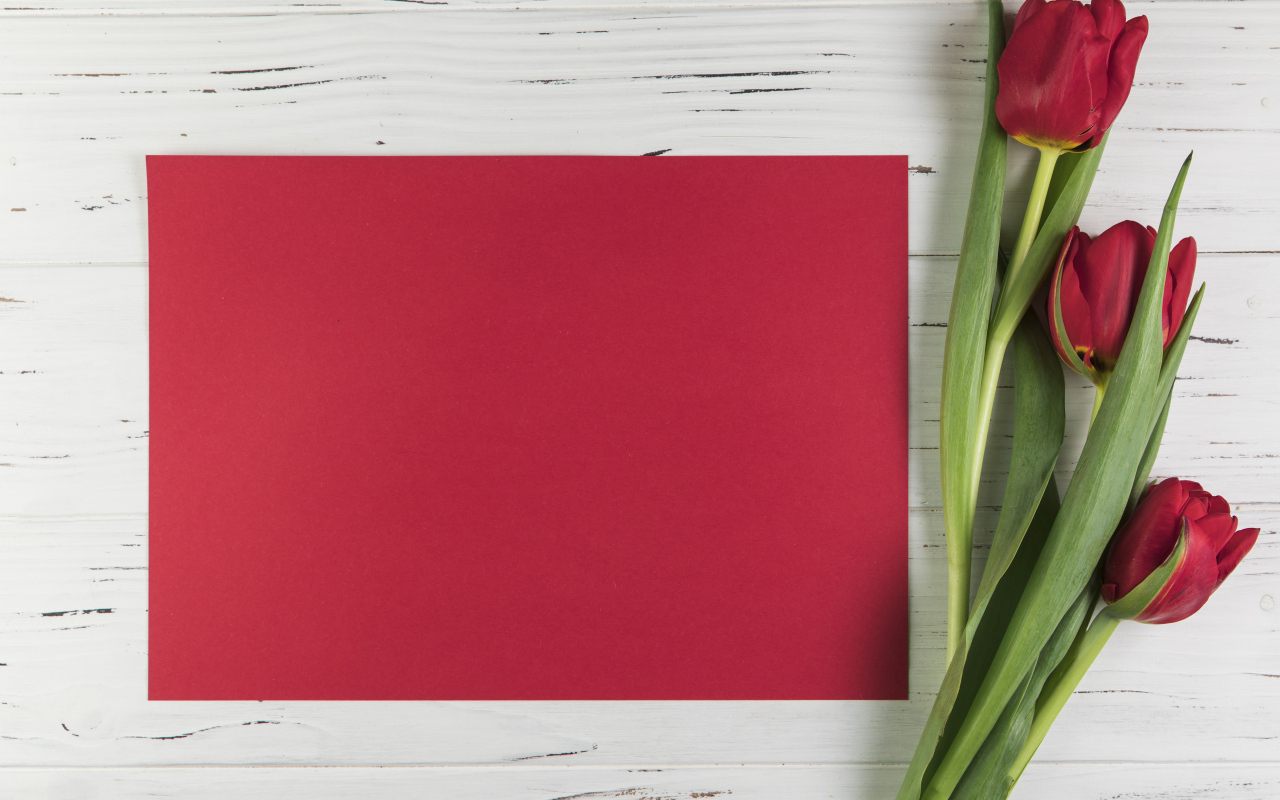 Красный лист бумаги с тюльпанами для шаблона поздравительной открытки