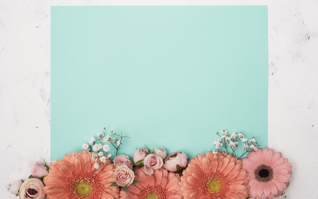 Лист голубой бумаги для фона с цветами розы и герберы