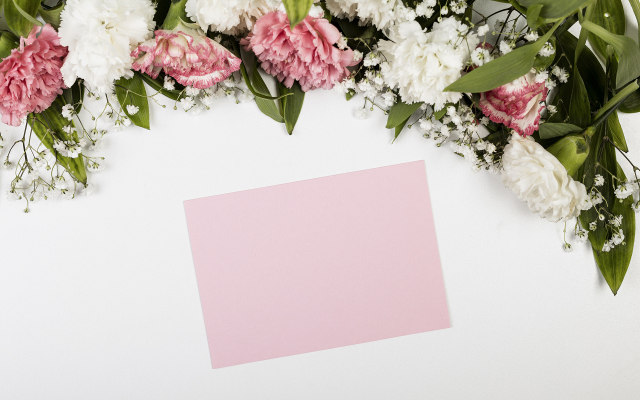 Лист бумаги с цветами гвоздики на сером фоне, шаблон для открытки