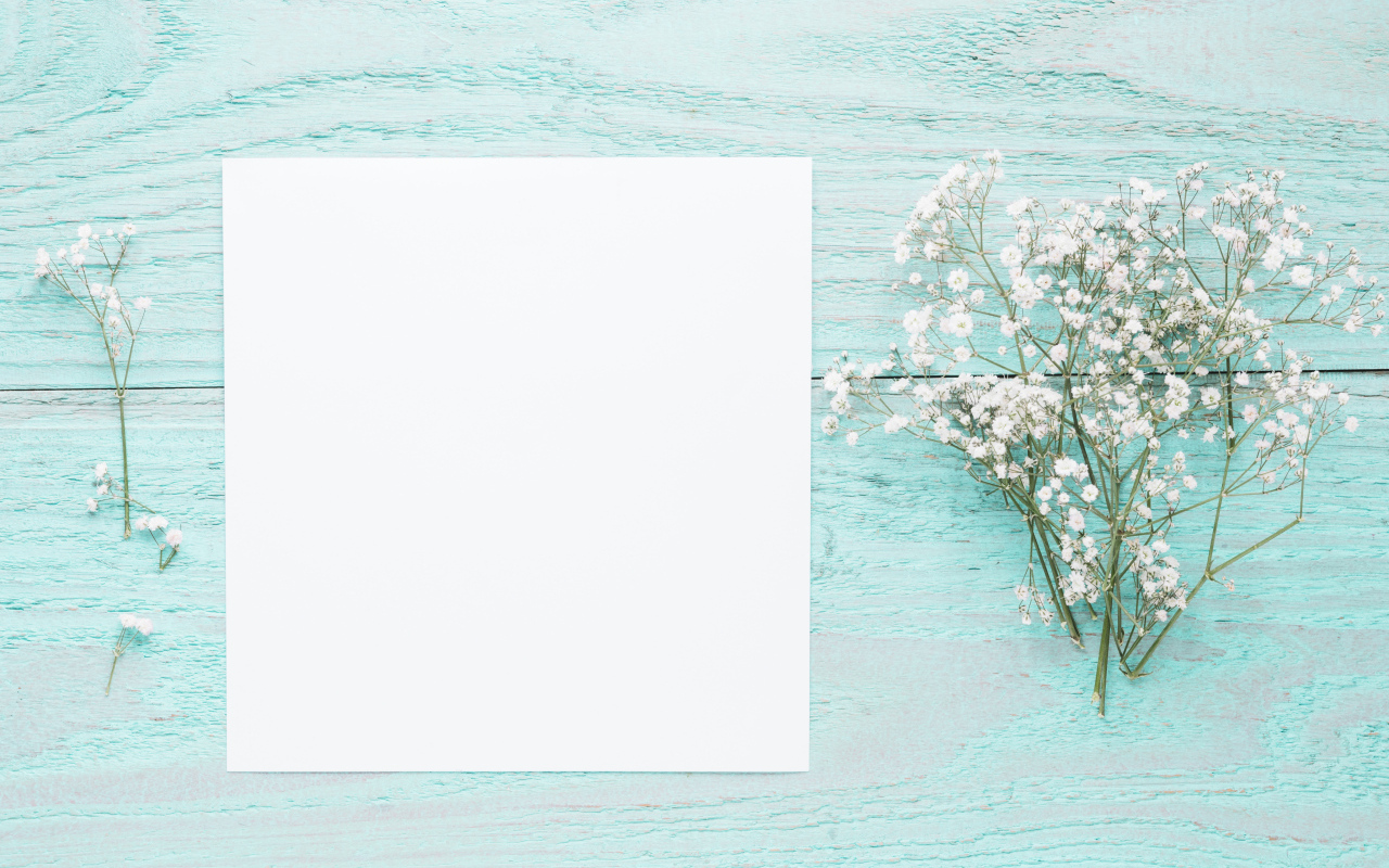 Лист бумаги с белыми цветами гипсофилы на голубом столе