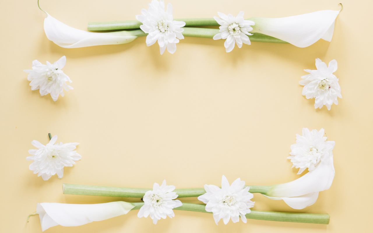 Белые каллы с хризантемами на желтом фоне