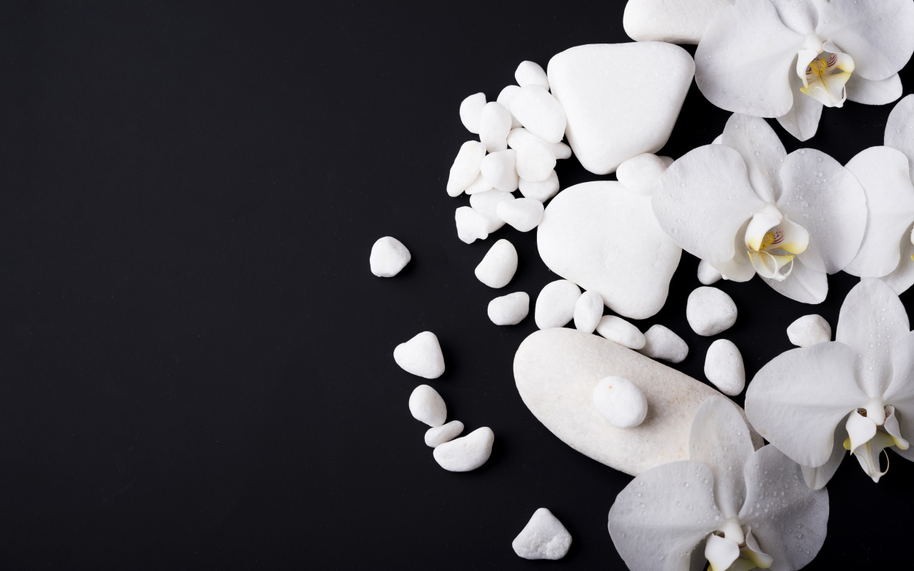Белые орхидеи с камнями на черном фоне