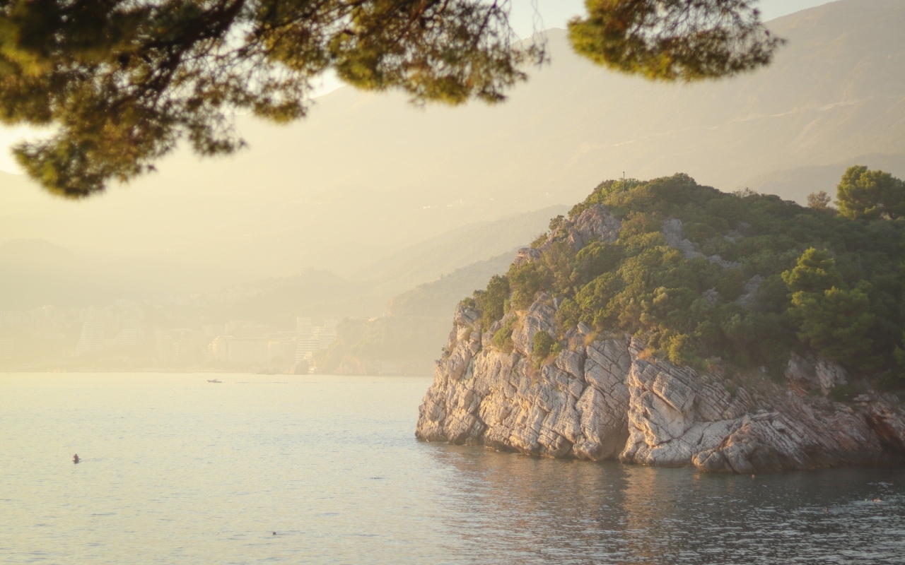 Скала покрытая зеленью на берегу океана