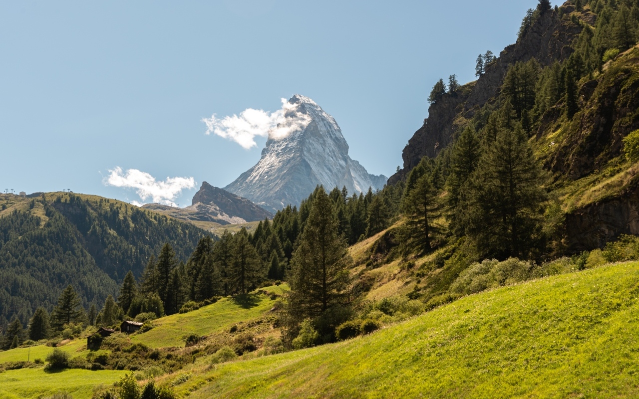 Вид на лес и высокую горную вершину