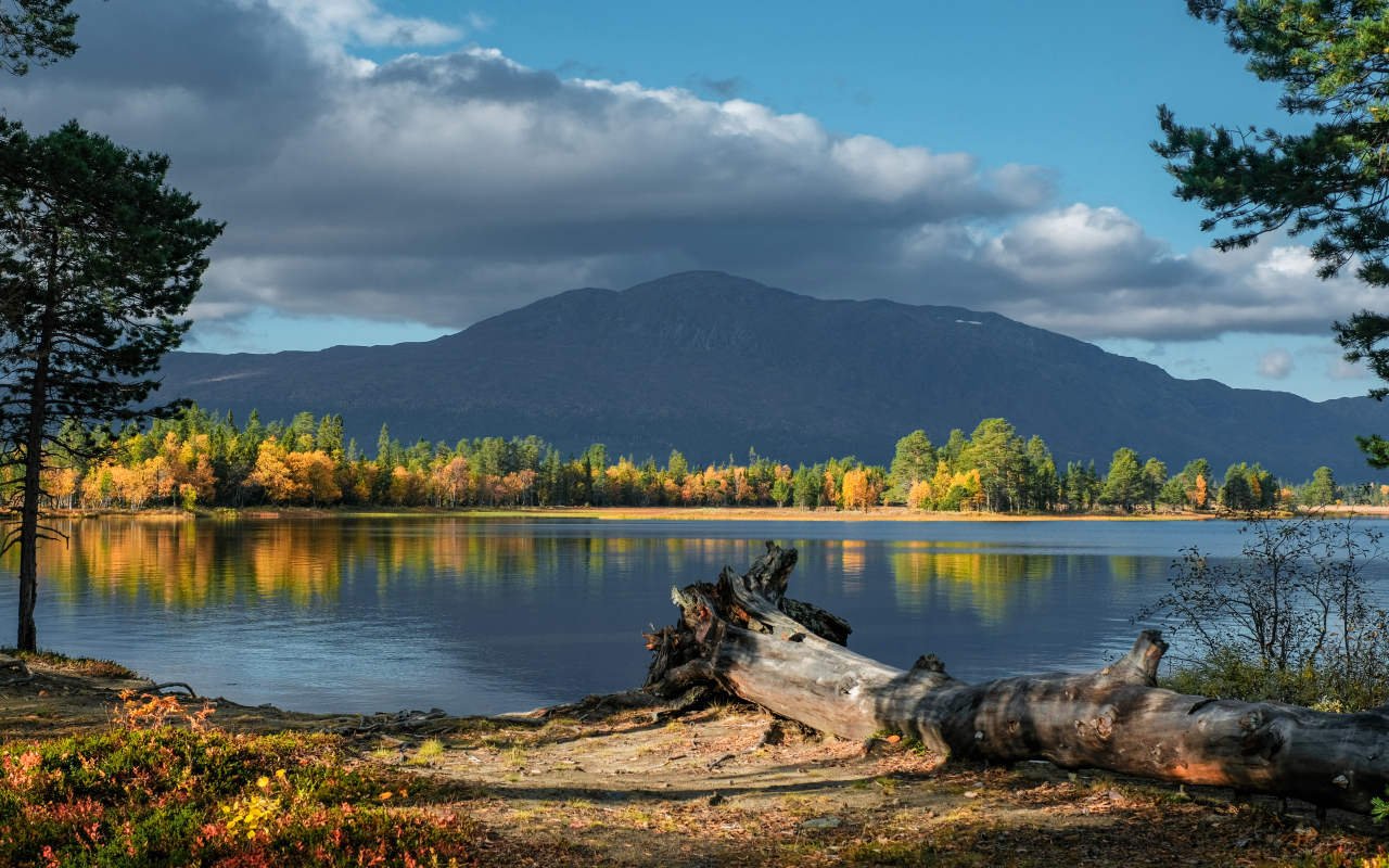Красивый вид на озеро и гору осенью