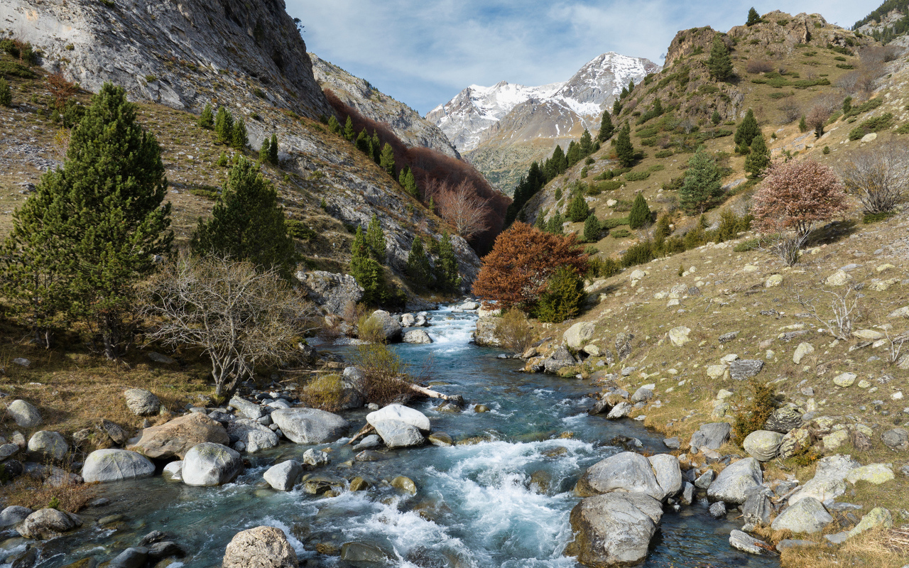 Быстрая река в горном ущелье 