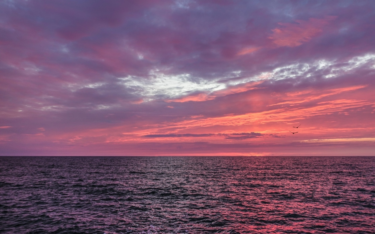 Красивый розовый закат в небе над морем