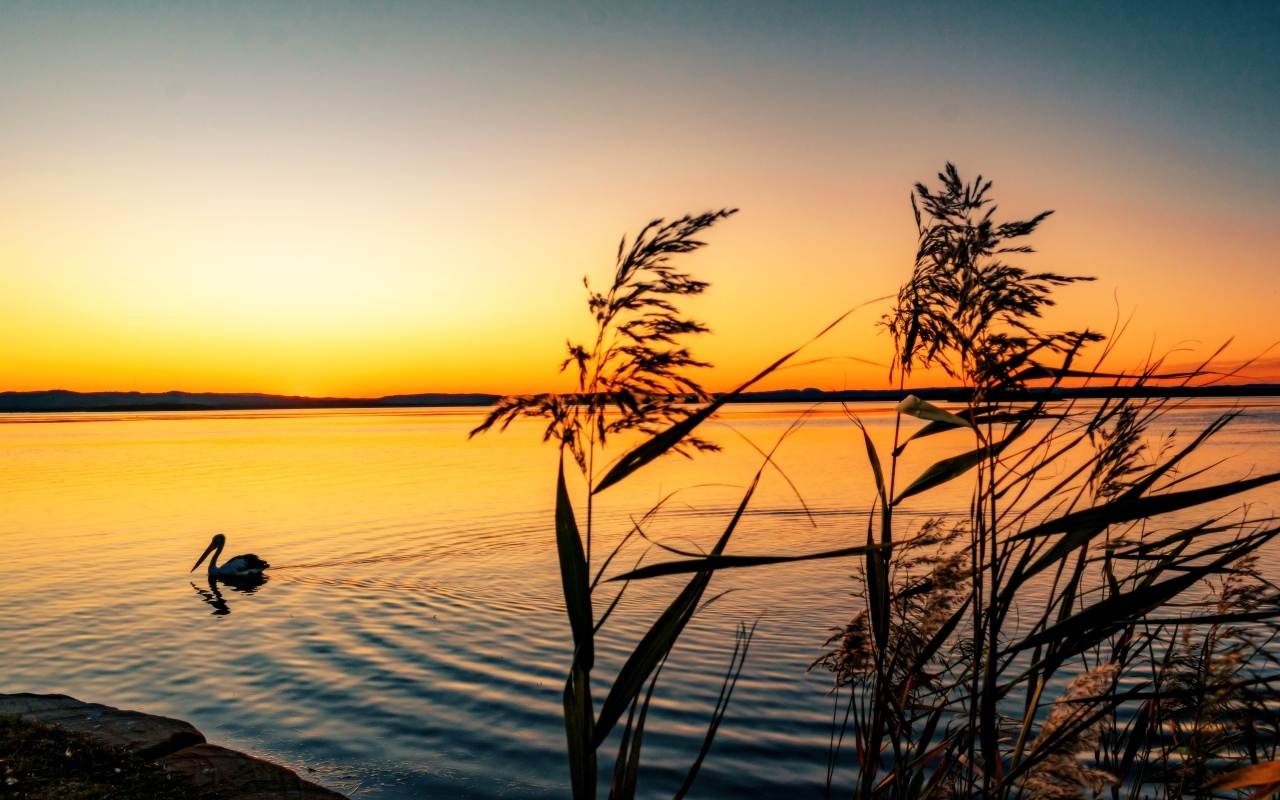 Тихий закат солнца над озером