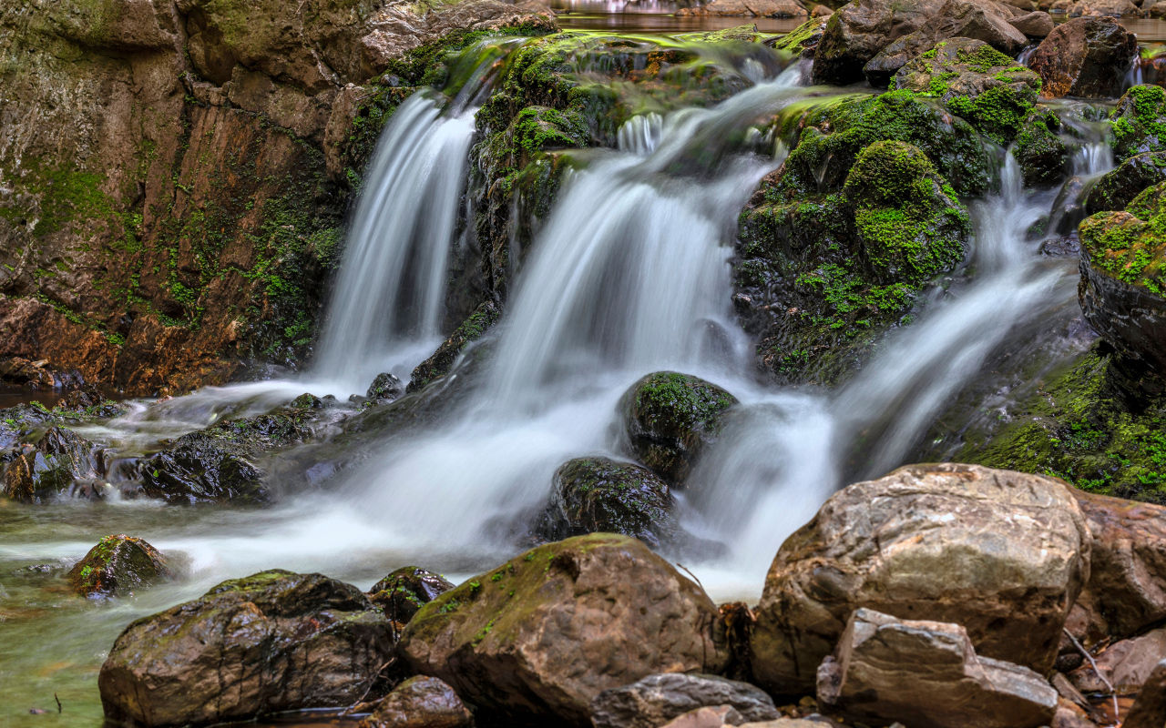 Быстрая вода водопада стекает по камням в осеннем лесу
