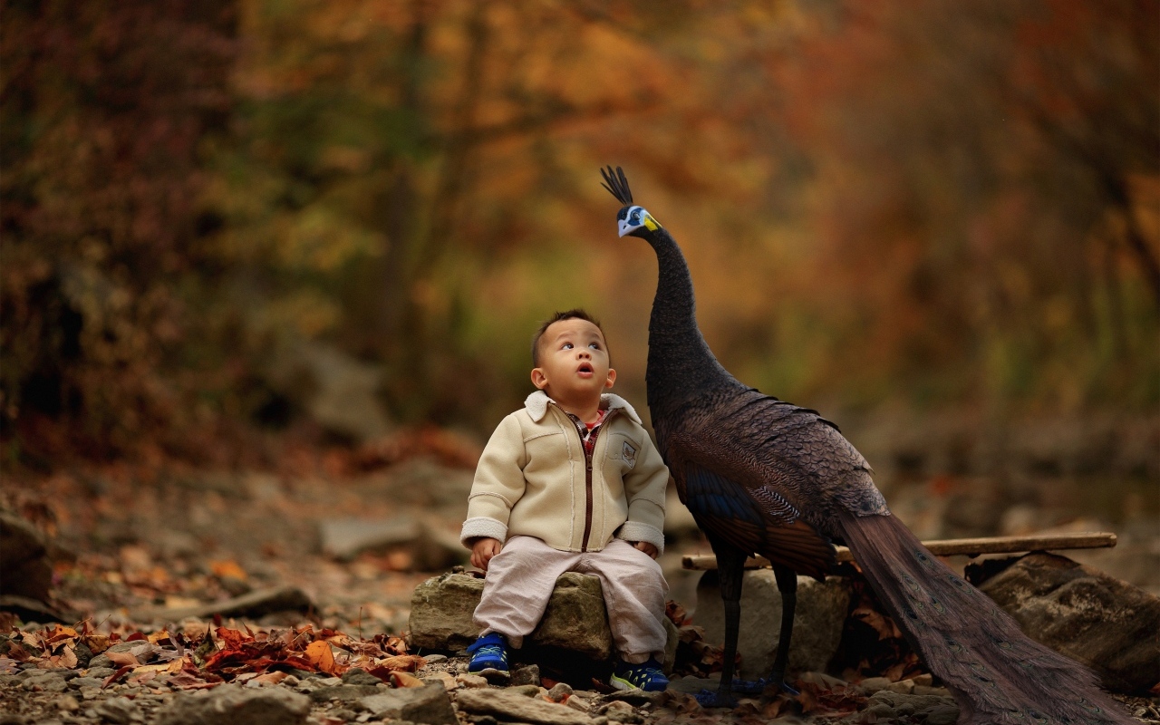 Мальчик с павлином в парке