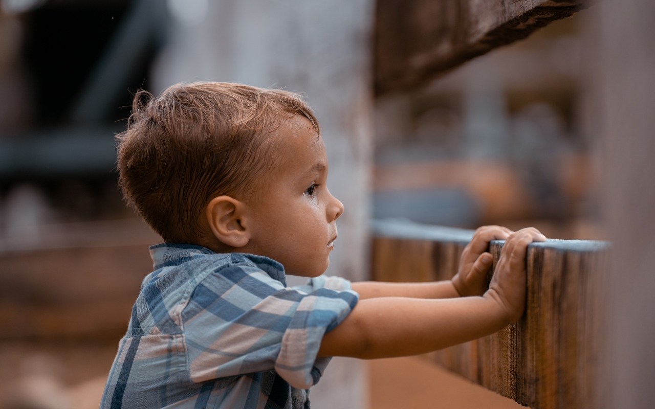 Любопытный мальчик в рубашке