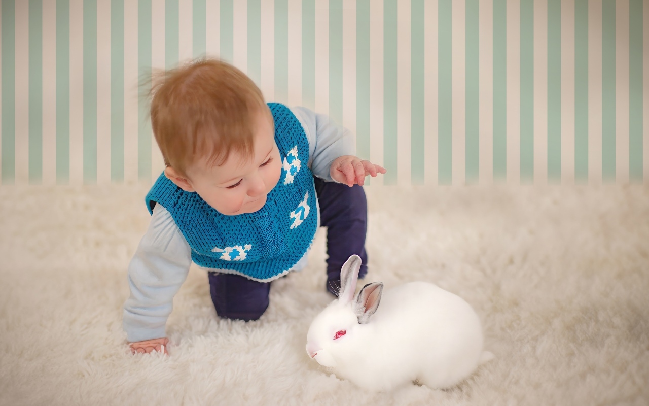 Смешной маленький мальчик с белым кроликом