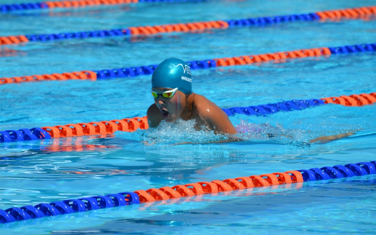 Маленький мальчик пловец в бассейне