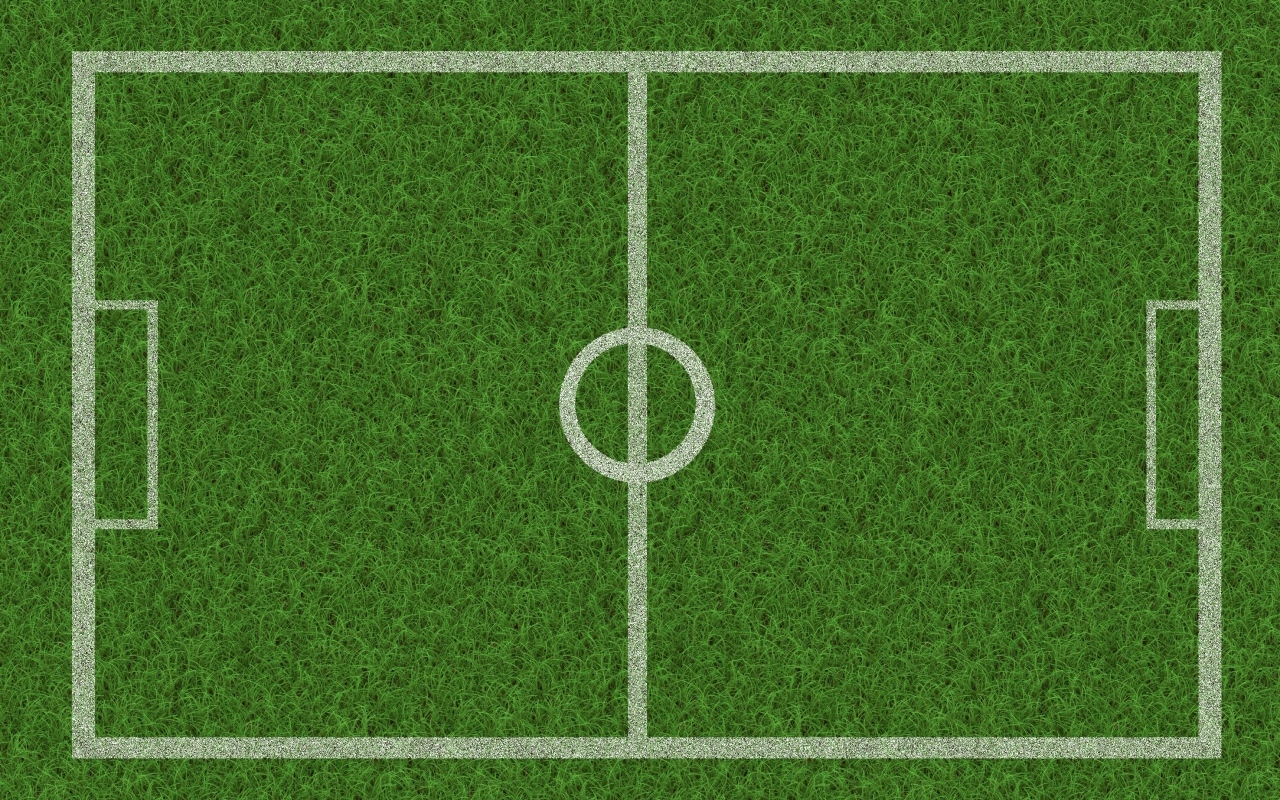 Поле расчерчено белыми линиями на зеленой траве