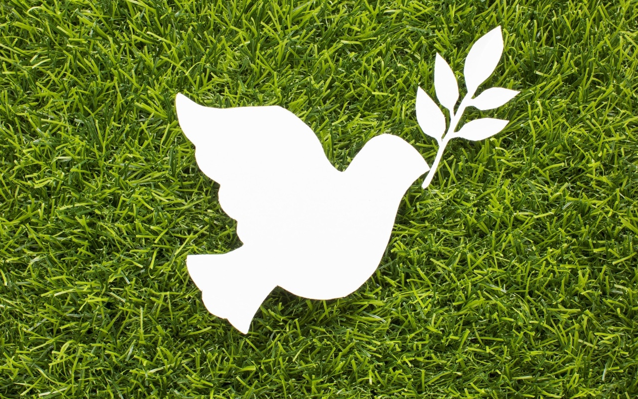 Белый бумажный голубь мира на зеленой траве