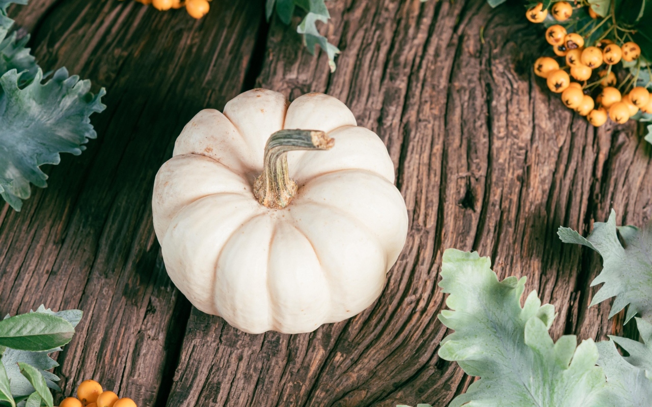 Тыква на столе с ягодами рябины