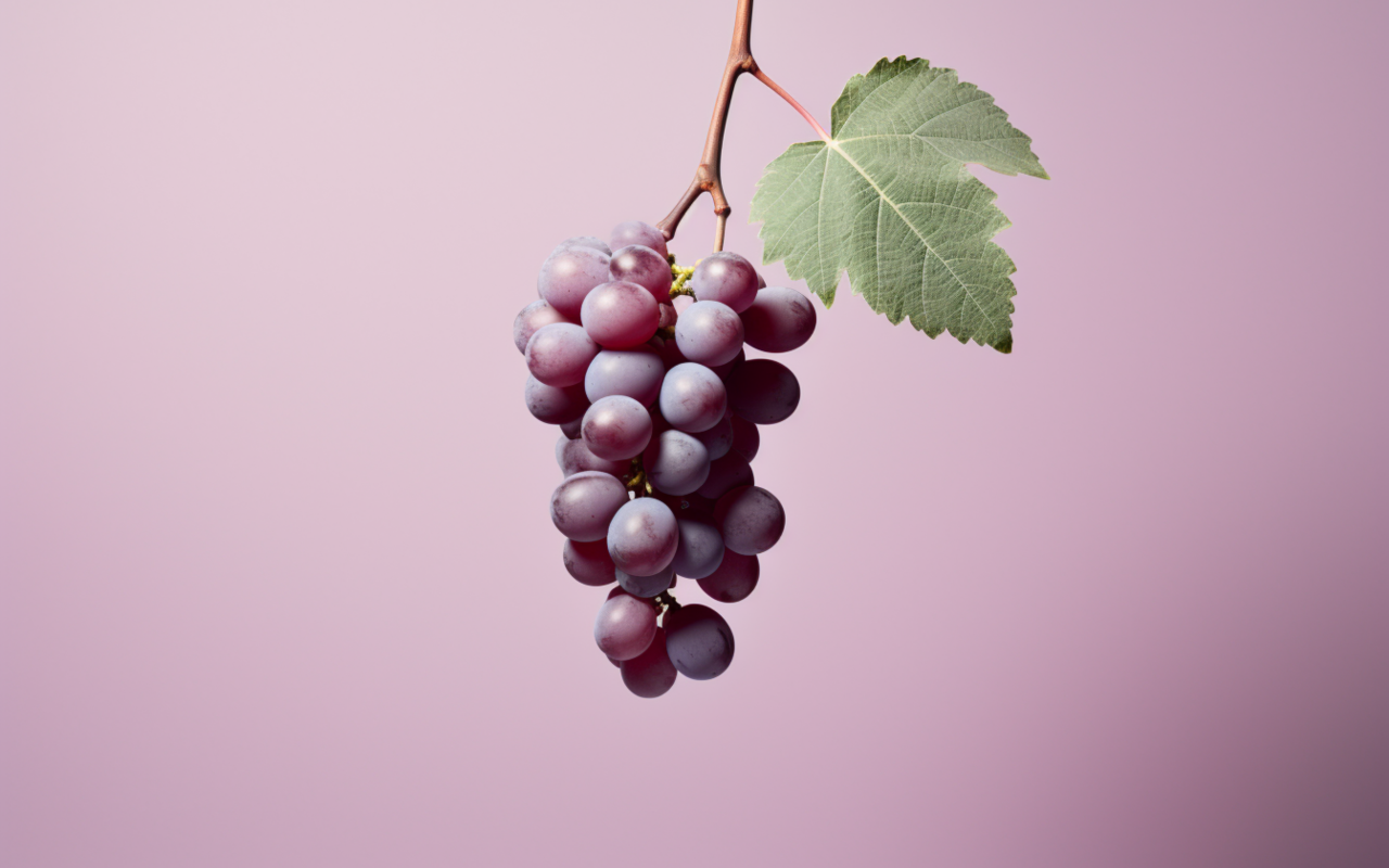 Гроздь винограда на сиреневом фоне