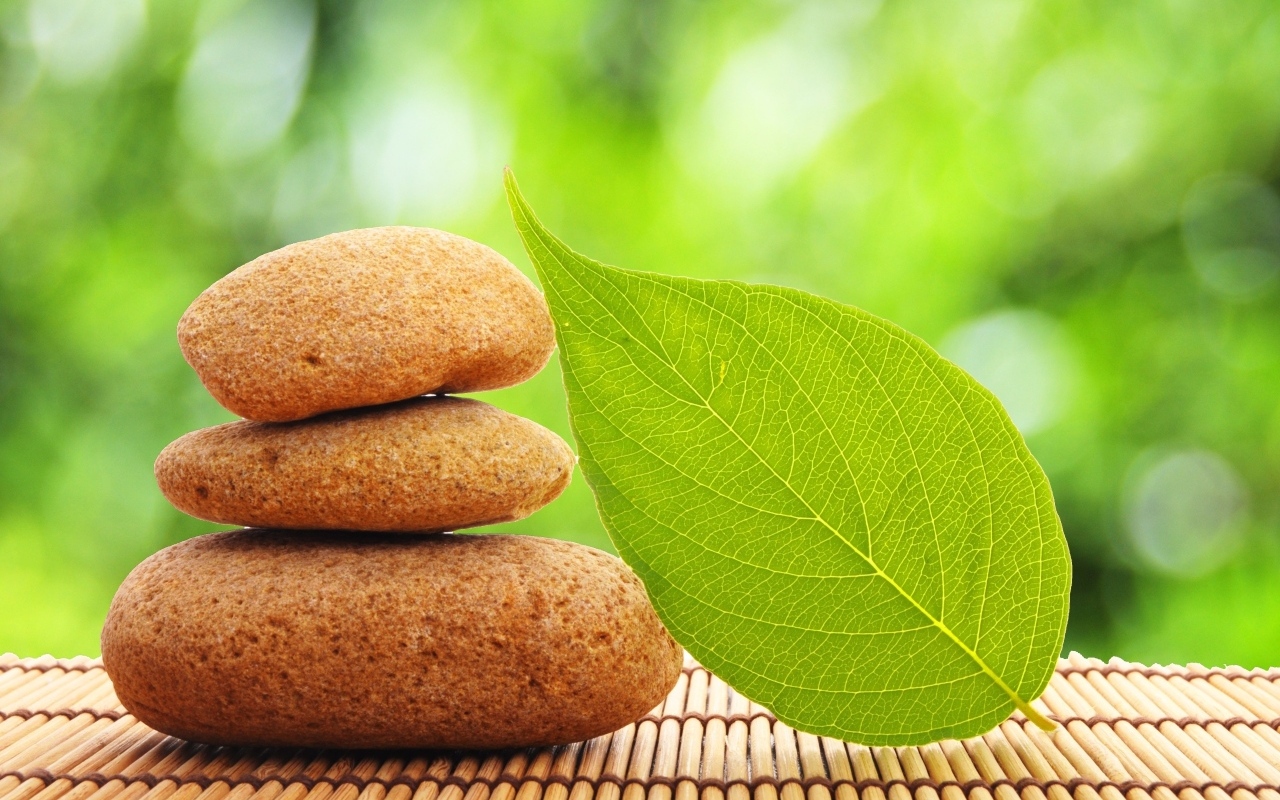 Пирамида из камней с зеленым листом 