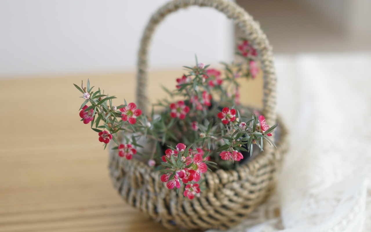 Корзина с цветами на столе