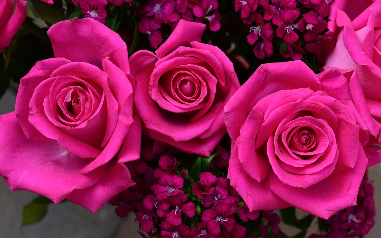 Букет розовых роз с гвоздикой