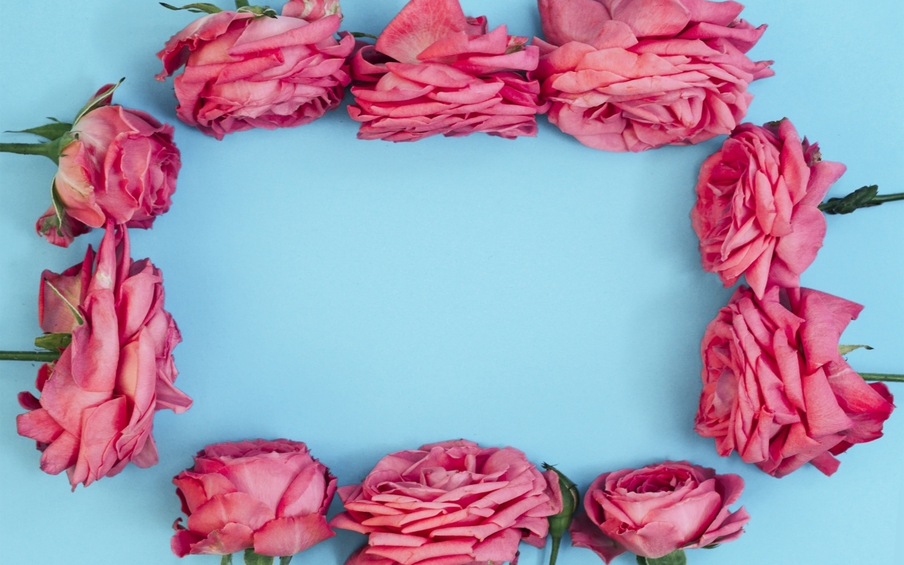 Рамка из  розовых роз на голубом фоне