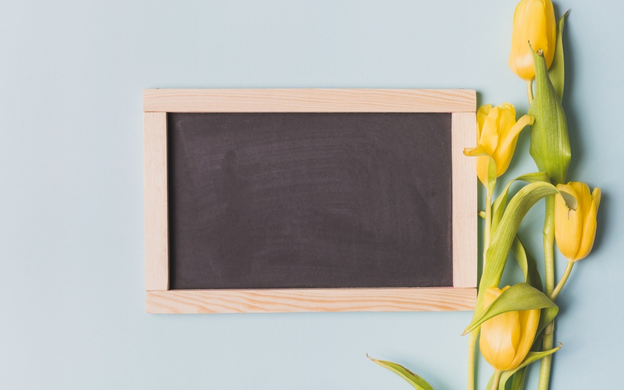 Желтые тюльпаны с рамкой для фона на сером фоне