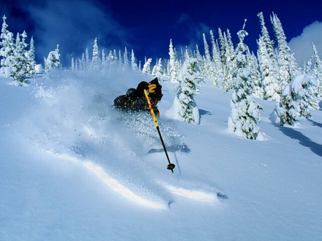 Ski picture