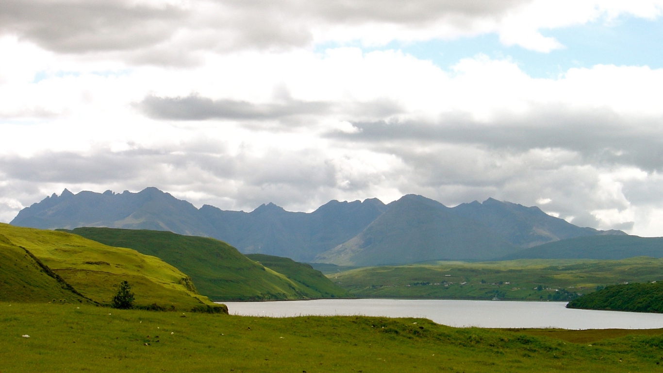 Зеленые поля