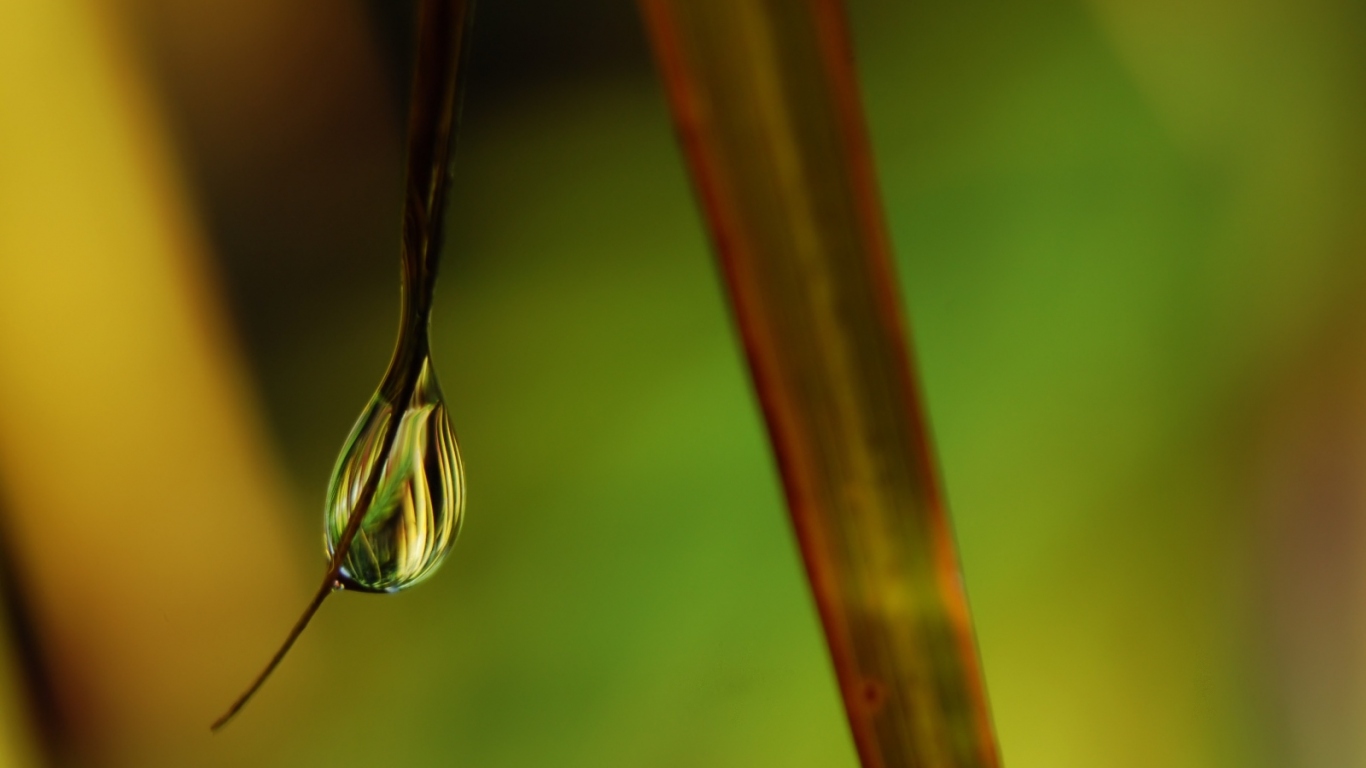 Windows Vista - обои на рабочий стол