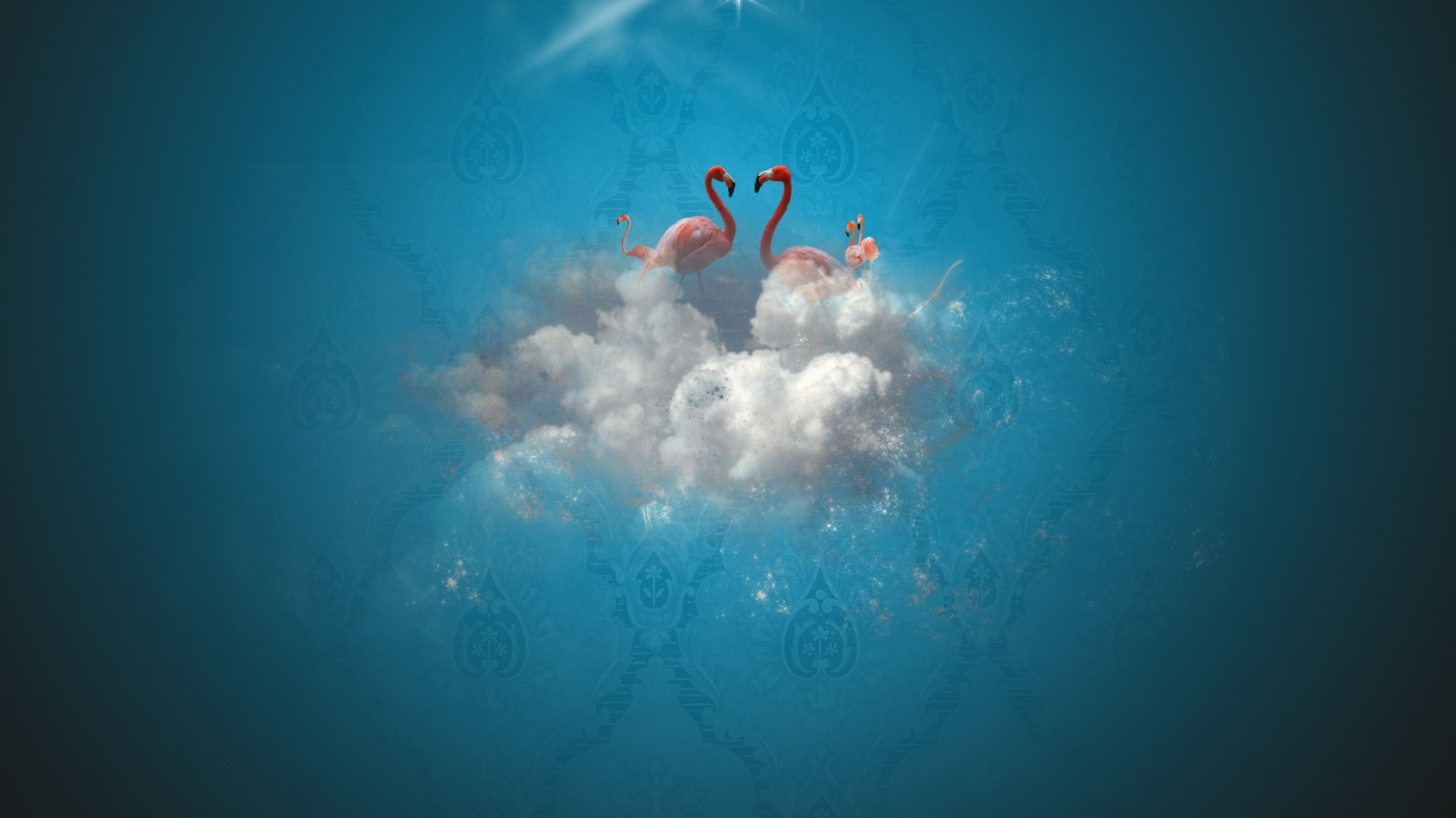 Рай фламинго