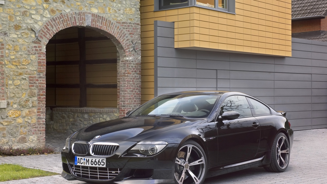 Schnitzer 2006 Вид спереди