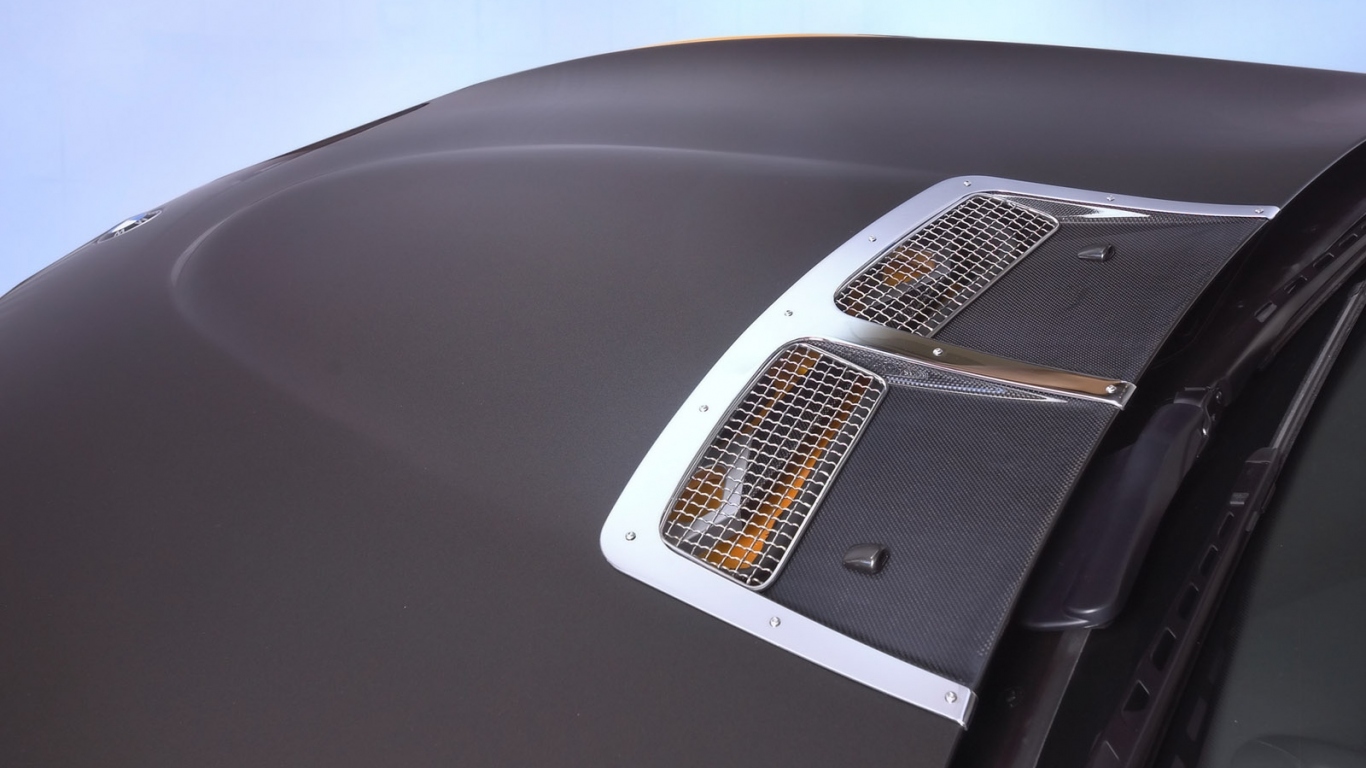 Капот Schnitzer