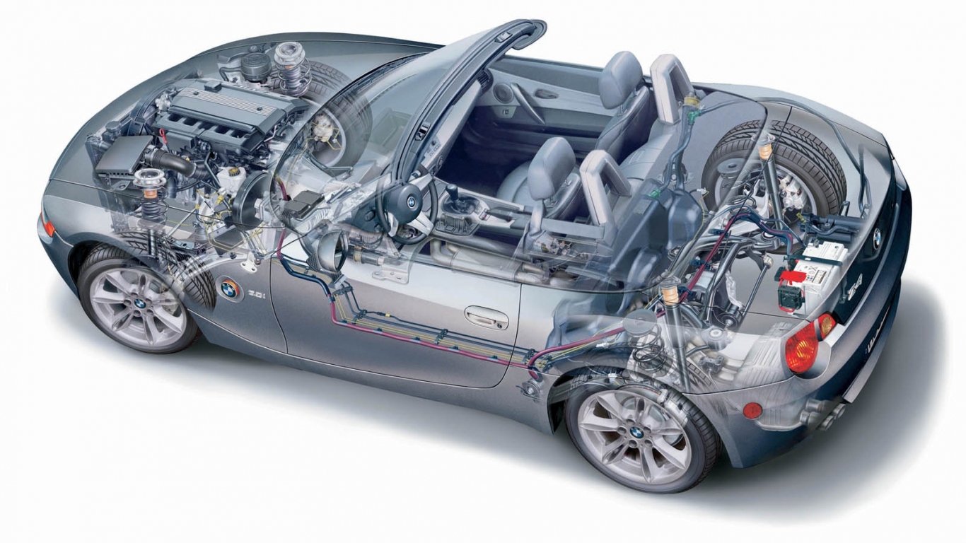 Z4 Organic рисунок