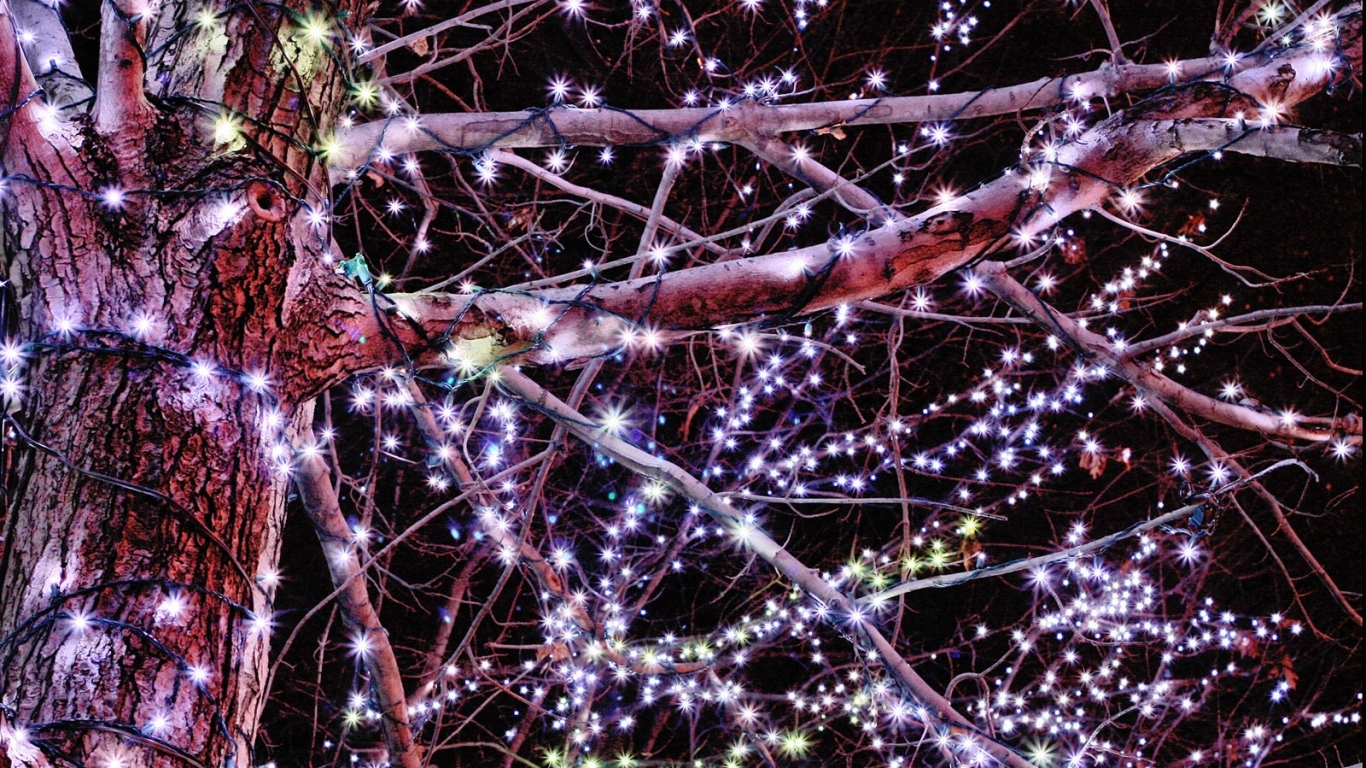 Гирлянды / Рождество