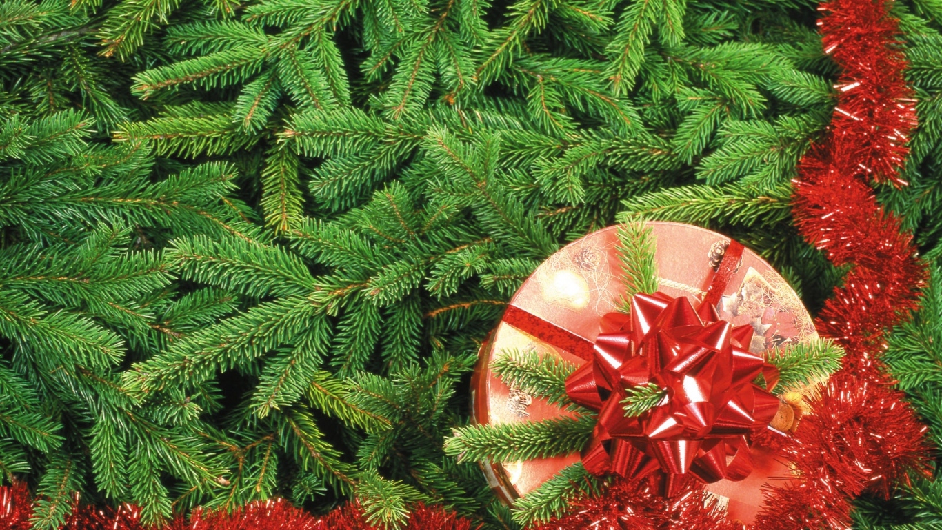 Подарок на Рождество / Рождество