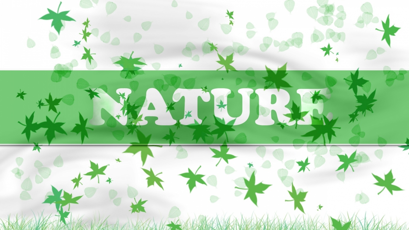 В натуре - природа