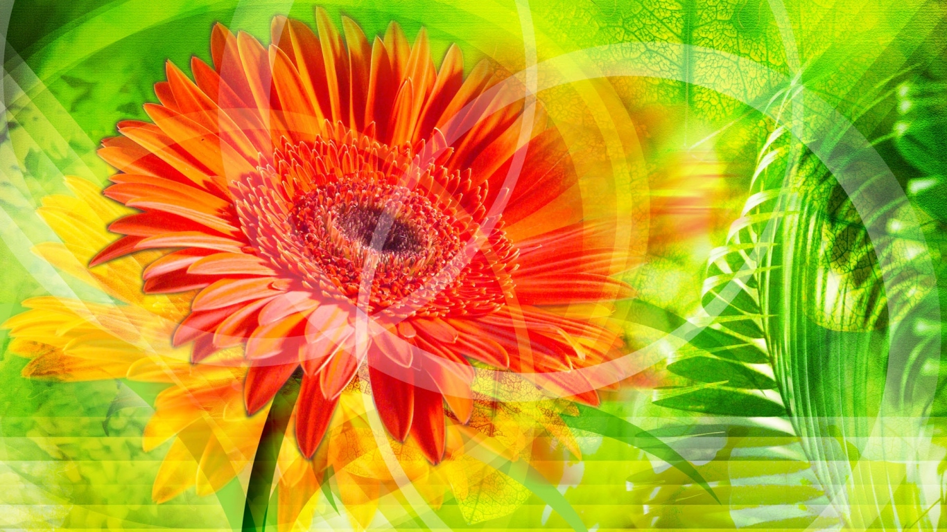 Красное сияние