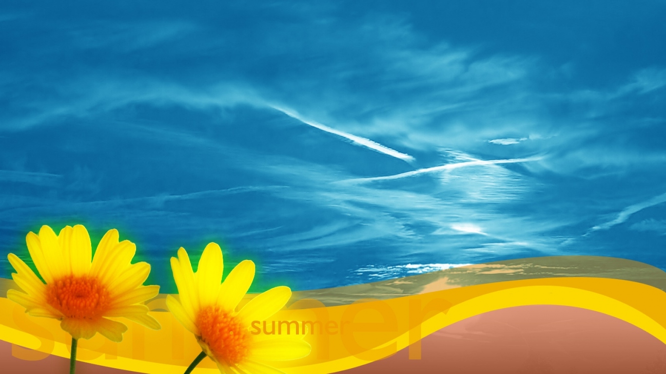 Летние ромашки