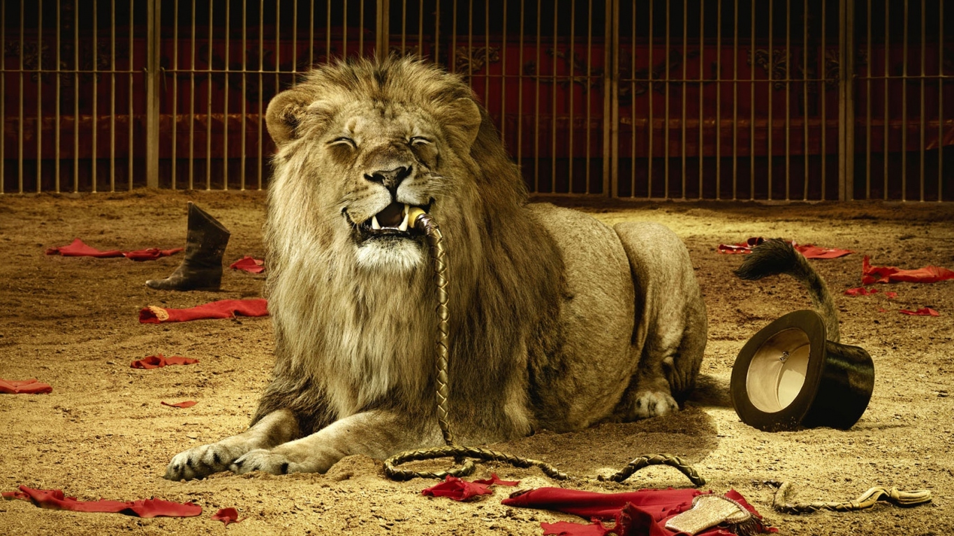 Плохой дрессировщик