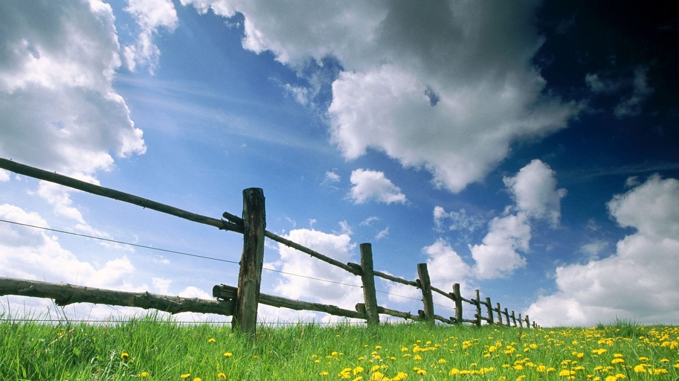 Русское поле