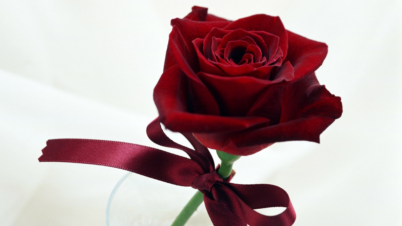 Воображение повысилось, Цветы